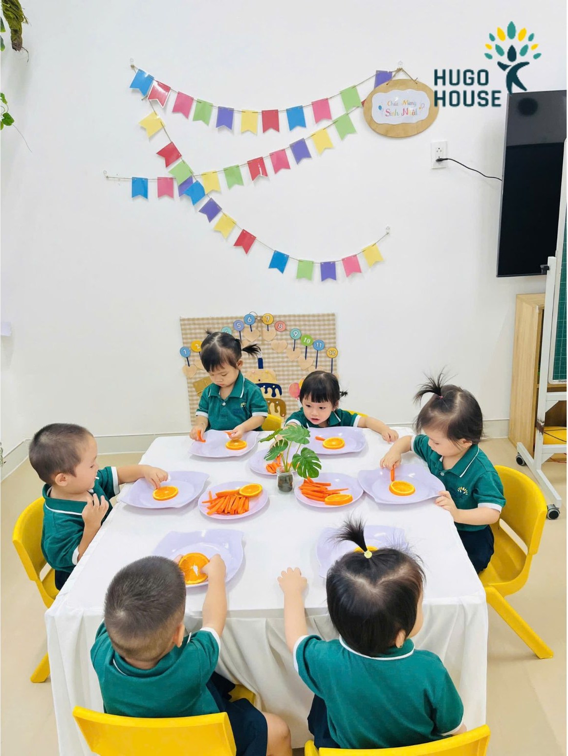 TẠO HÌNH MẶT TRỜI - HUGO HOUSE BẾN LỨC
