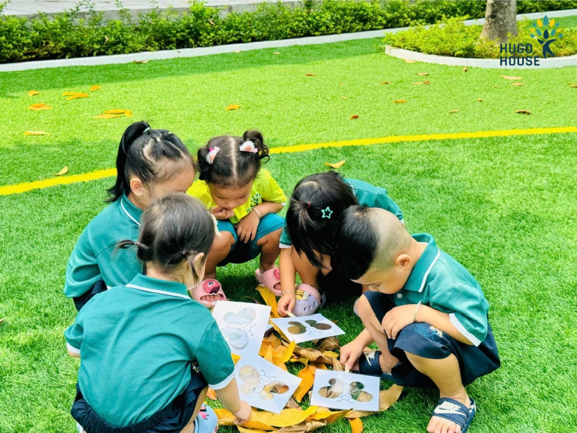 QUAN SÁT THIÊN NHIÊN QUA ĐÔI CÁNH BƯỚM - HUGO HOUSE BẾN LỨC