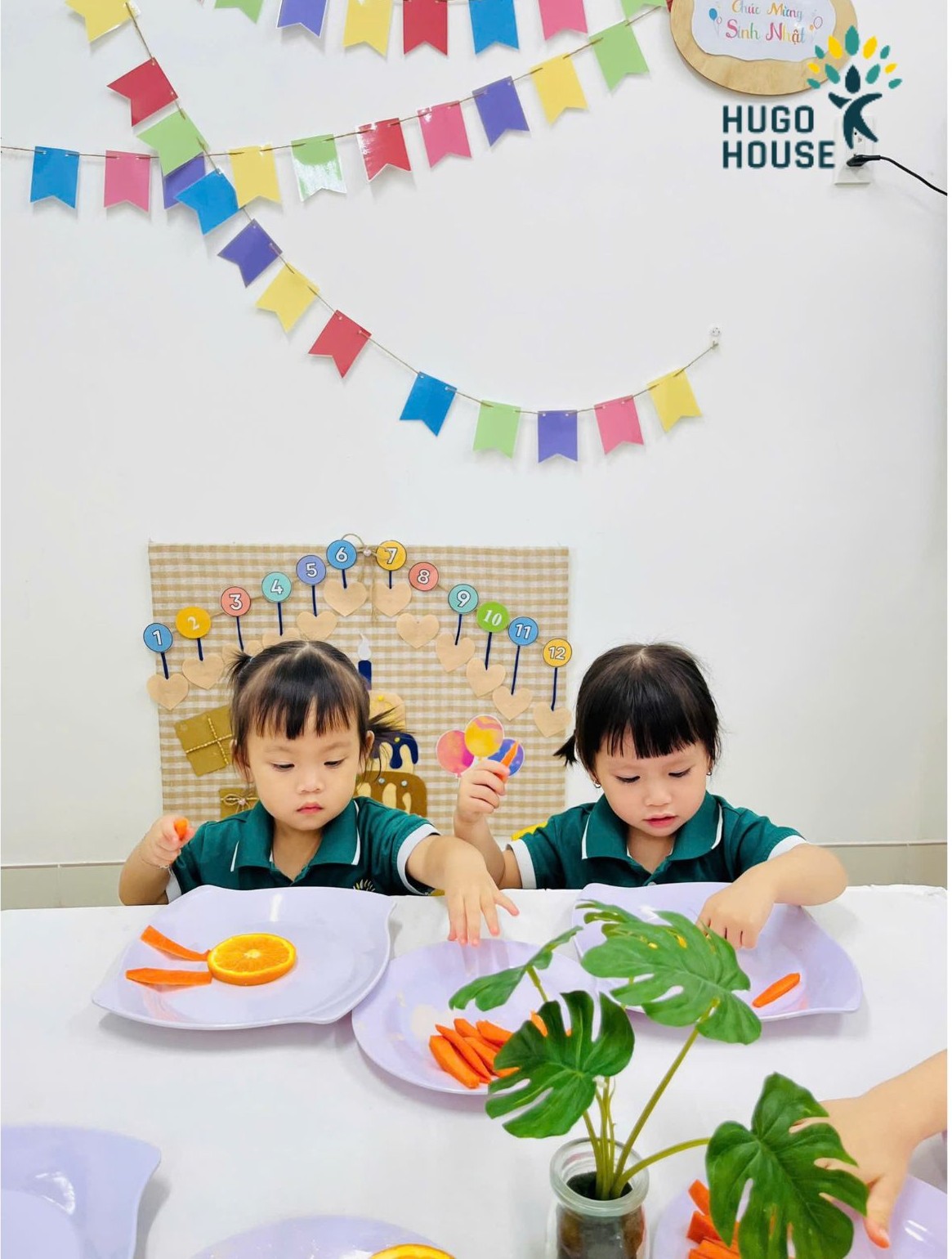 TẠO HÌNH MẶT TRỜI - HUGO HOUSE BẾN LỨC