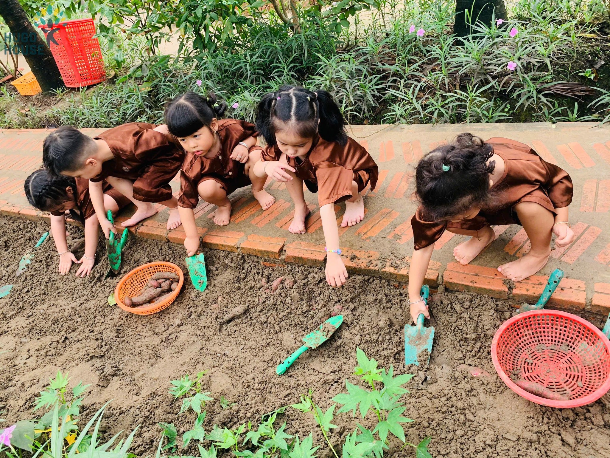BÉ KHÁM PHÁ NÔNG TRẠI  – HÒA MÌNH VỚI THIÊN NHIÊN