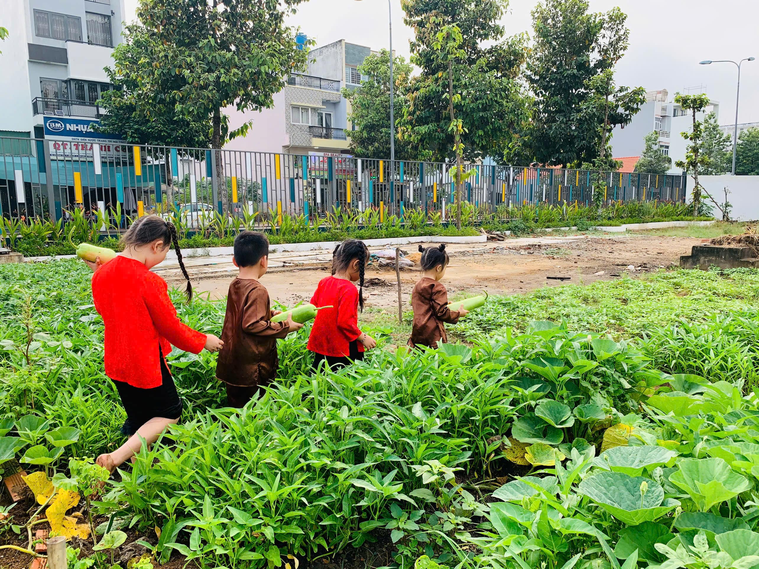 HOẠT ĐỘNG TRẢI NGHIỆM: BÉ LÀM NÔNG DÂN - HUGO HOUSE BẾN LỨC