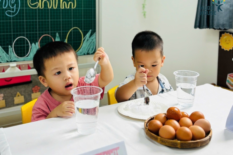 THÍ NGHIỆM VUI – TRỨNG CHÌM HAY TRỨNG NỔI?