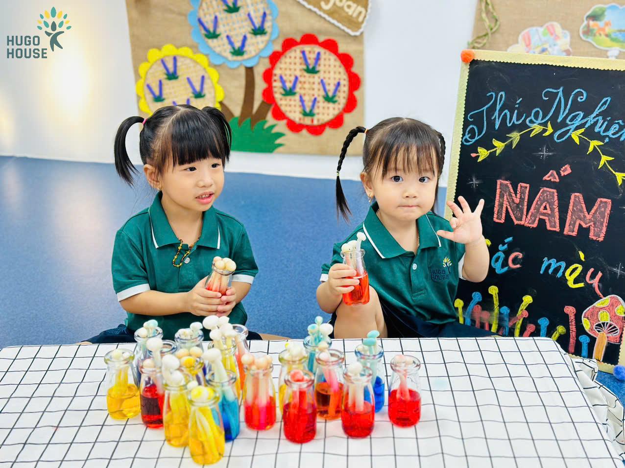 CÂY NẤM SẮC MÀU - SỰ BIẾN ĐỔI KỲ DIỆU