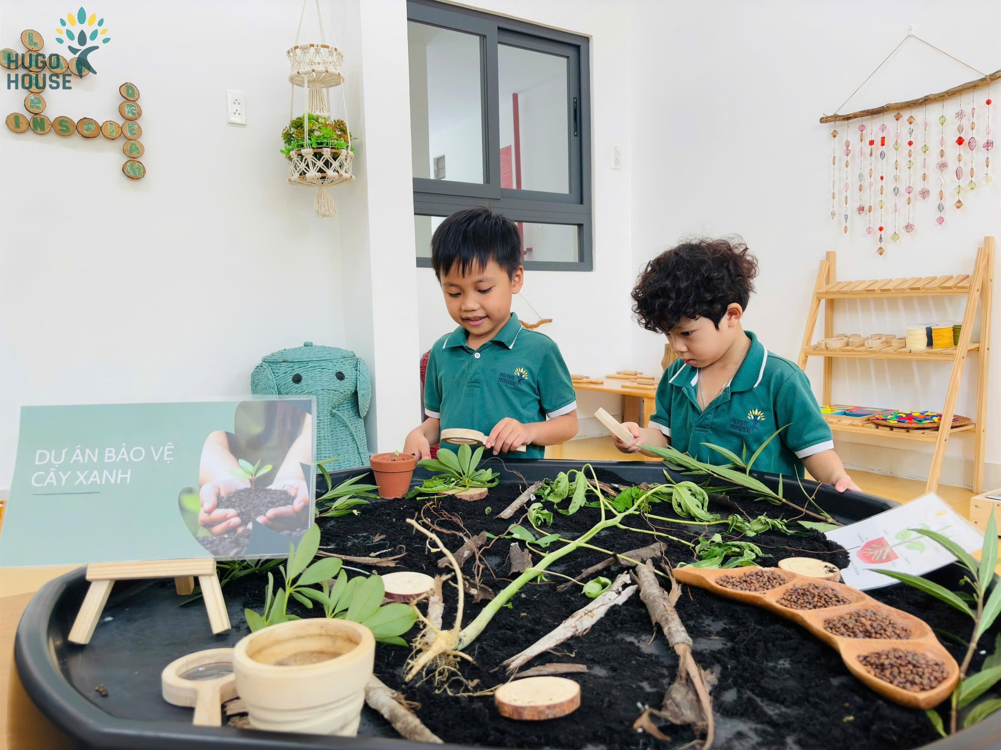 KHÁM PHÁ CÂY XANH - GIEO MẦM YÊU THIÊN NHIÊN