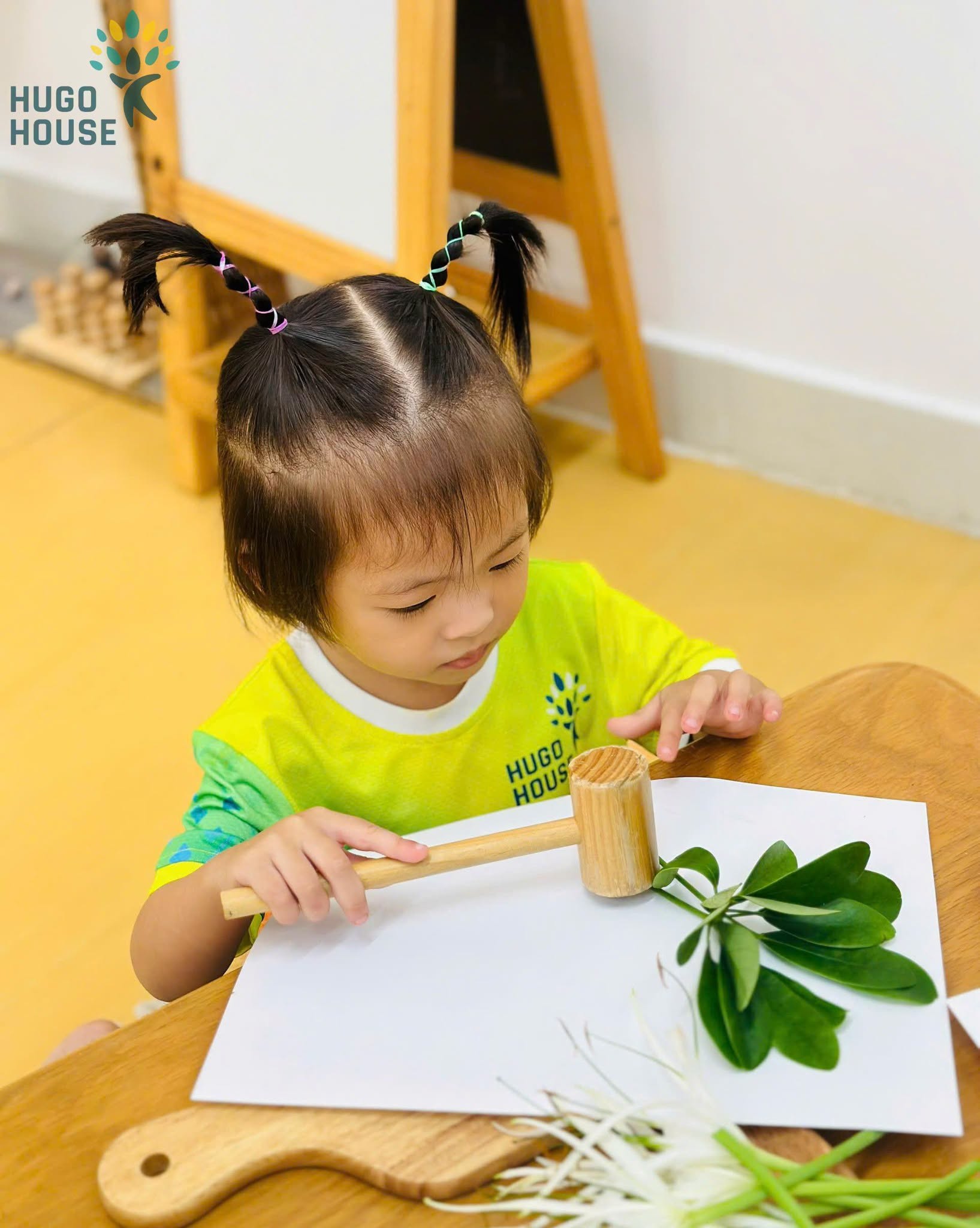 DẤU ẤN THIÊN NHIÊN - BÉ VẼ TRANH TỪ HOA VÀ LÁ