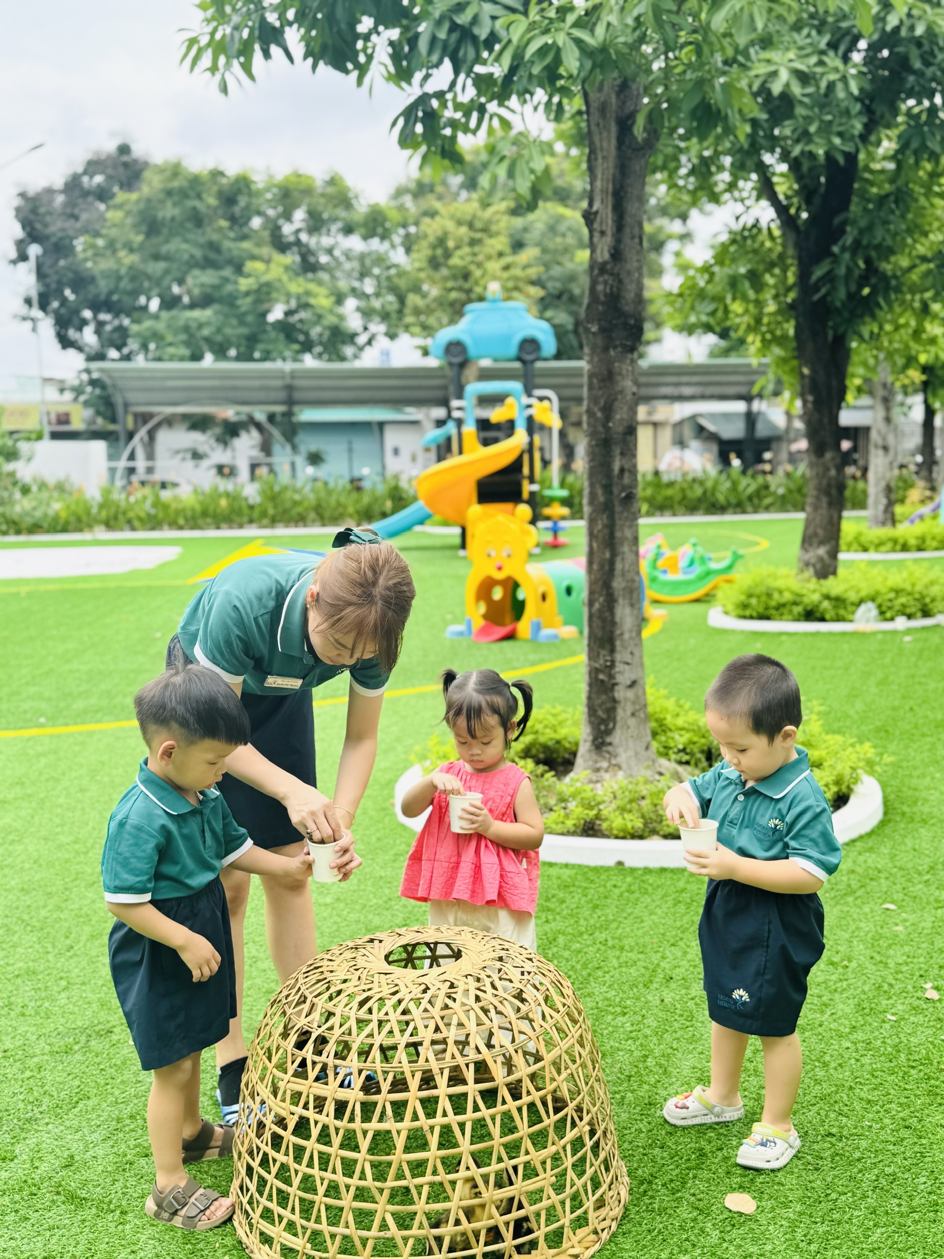 BÉ TÌM HIỂU & QUAN SÁT CHÚ VỊT CON – KHÁM PHÁ THẾ GIỚI TỰ NHIÊN