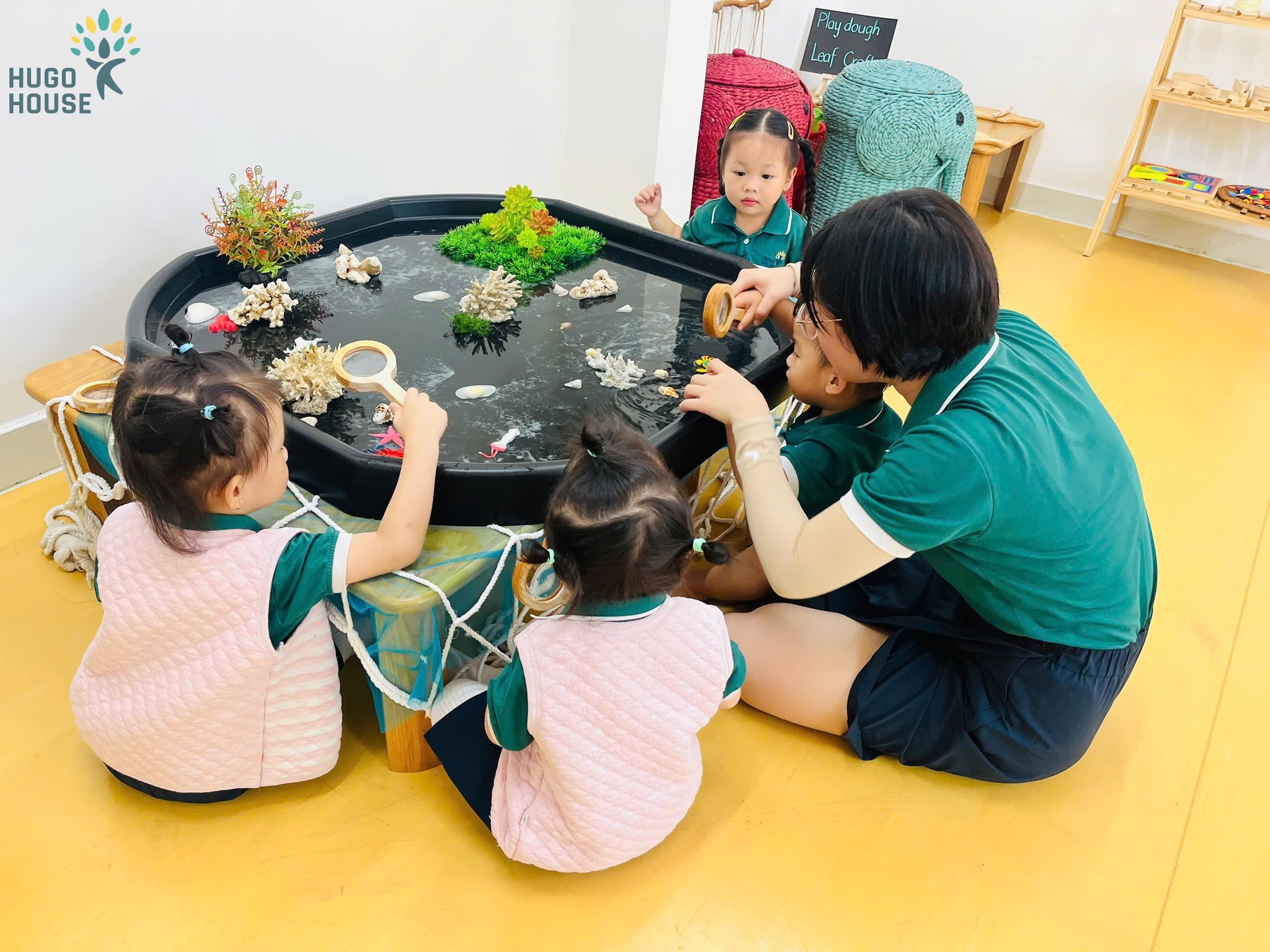 SỰ KỲ DIỆU CỦA NƯỚC - HÀNH TRÌNH KHÁM PHÁ THIÊN NHIÊN