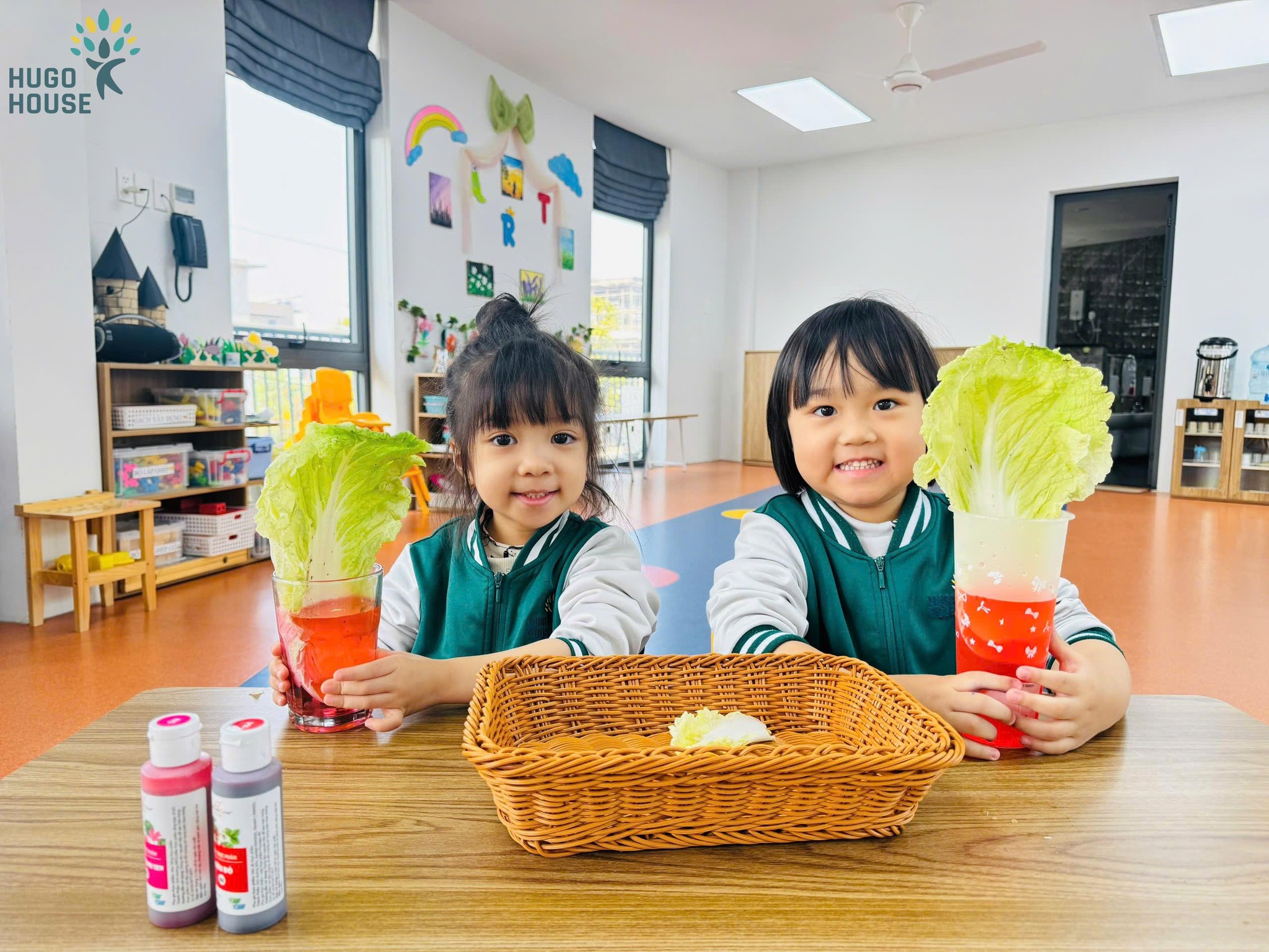 BẮP CẢI KỲ DIỆU – SẮC MÀU KHÁM PHÁ