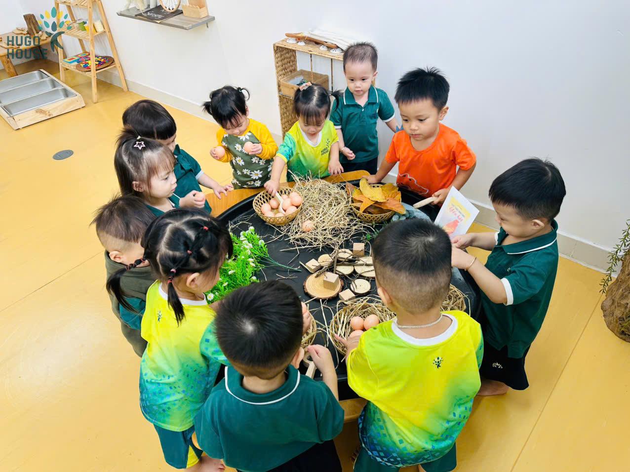 KHÁM PHÁ CHÚ CHIM NHỎ VÀ MÙA XUÂN