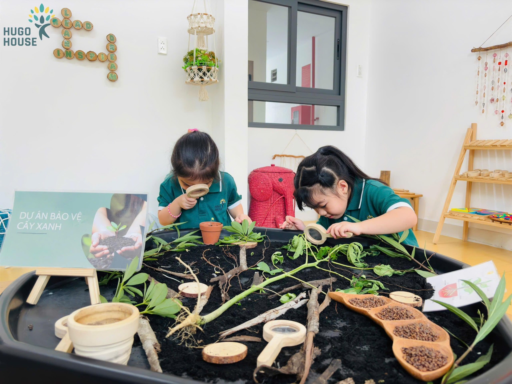 KHÁM PHÁ CÂY XANH - GIEO MẦM YÊU THIÊN NHIÊN