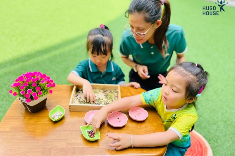 BÉ ĂN – SORTING HẠT NGỘ NGHĨN