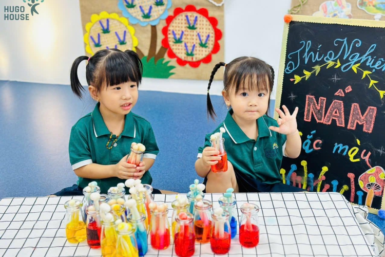 CÂY NẤM SẮC MÀU - SỰ BIẾN ĐỔI KỲ DIỆU