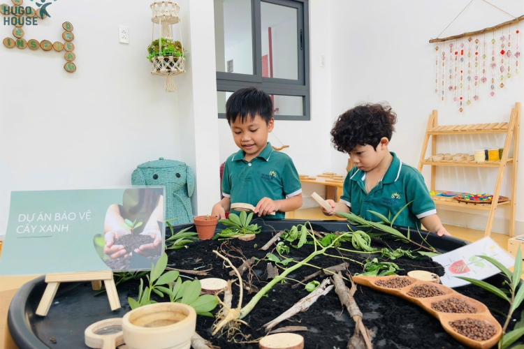 KHÁM PHÁ CÂY XANH - GIEO MẦM YÊU THIÊN NHIÊN