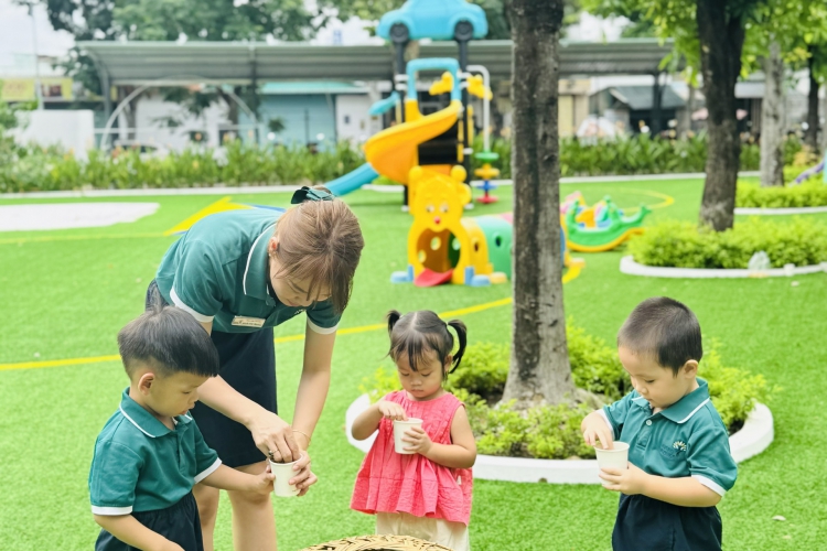 BÉ TÌM HIỂU & QUAN SÁT CHÚ VỊT CON – KHÁM PHÁ THẾ GIỚI TỰ NHIÊN